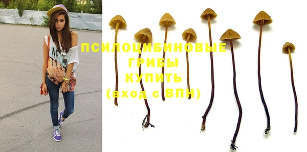 бутират Вязьма