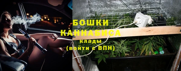 первитин Вяземский