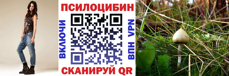 где найти наркотики  дарк нет официальный сайт  Псилоцибиновые грибы GOLDEN TEACHER  Лукоянов 